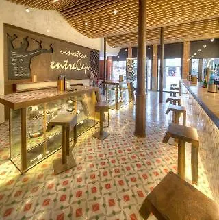 Exe Astur Plaza 酒店 3*